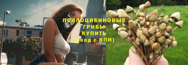 a pvp Абинск