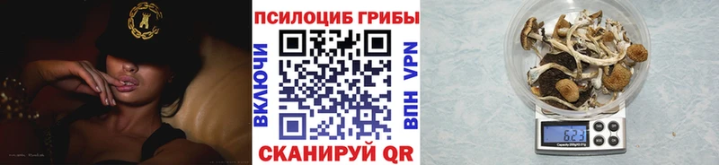 Галлюциногенные грибы мицелий  где купить наркоту  Нижний Ломов 